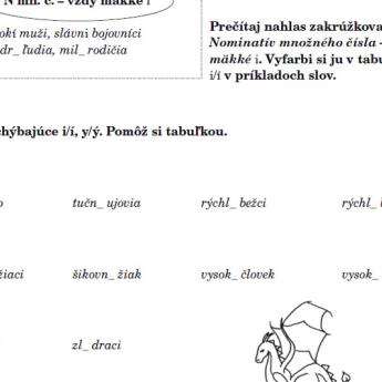 DYSORTOGRAFIA - Prídavné Mená - 3. A 4. Ročník | Školský Portál