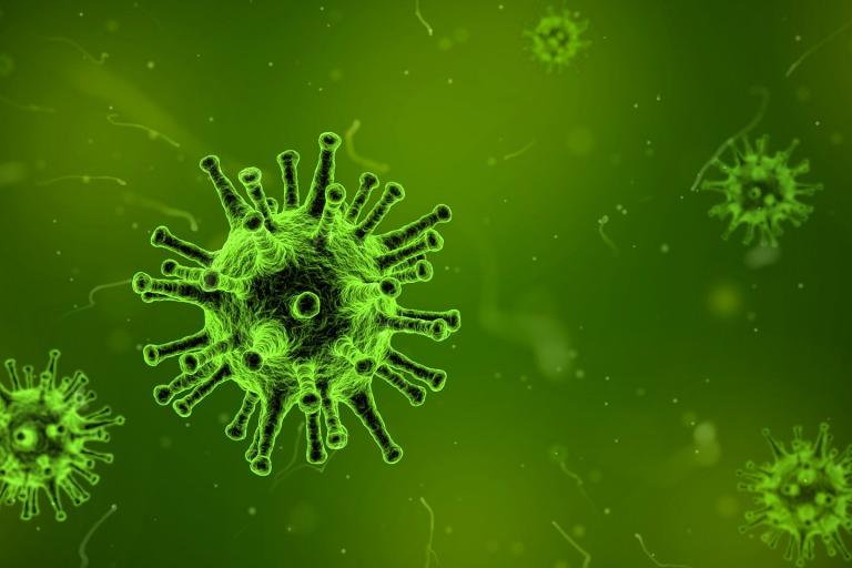 MŠVVaŠ neodporúča výlety v oblastiach s potvrdeným výskytom koronavírusu